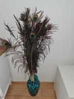 Pauweveren, Ophalen of Verzenden