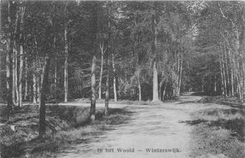 (701-352-007) Winterswijk In het Woold beschikbaar voor biedingen