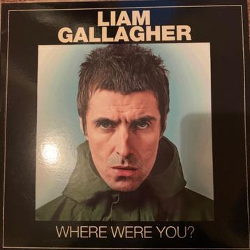 Liam Gallagher: Where were you? lp gekleurd vinyl beschikbaar voor biedingen