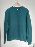 Nieuw: groene sweater Madness maat S, Kleding | Heren, Ophalen of Verzenden, Nieuw, Maat 46 (S) of kleiner, Groen