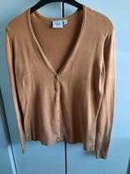 Saint Tropez vest okergeel, Kleding | Dames, Geel, Maat 42/44 (L), Nieuw, Ophalen of Verzenden