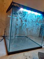 Superfish aquarium 27ltr vierkant 265mm×265mm met RGB licht, Dieren en Toebehoren, Vissen | Aquaria en Toebehoren, Ophalen of Verzenden