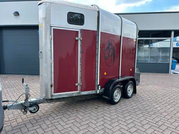 Ifor Williams 1,5 Paards Trailer met vooruitloop beschikbaar voor biedingen