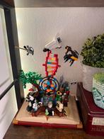 Lego 21355, Ophalen of Verzenden, Zo goed als nieuw