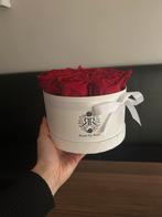 Long life rozen rood | roses by rose, Nieuw, Binnen, Ophalen of Verzenden