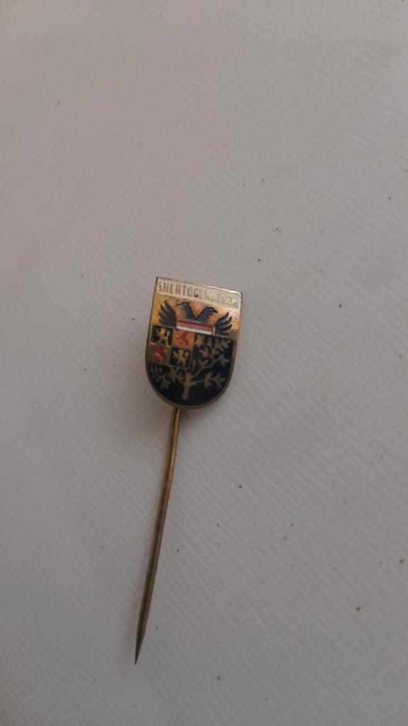 Vintage 's-Hertogenbosch Speldje, Verzamelen, Speldjes, Pins en Buttons, Zo goed als nieuw, Speldje of Pin, Stad of Land, Ophalen of Verzenden