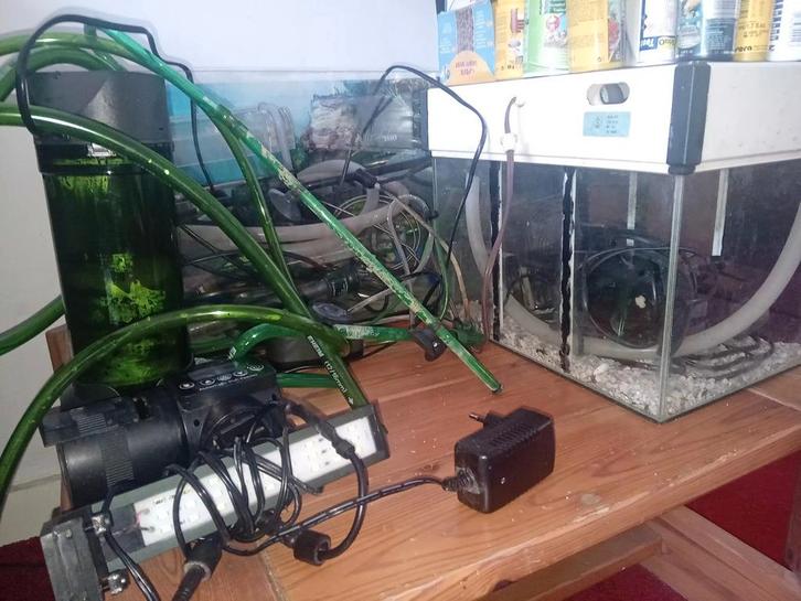 2 aquariums en broedbak filter, pomp etc etc, Dieren en Toebehoren, Reptielen en Amfibieën | Toebehoren, Ophalen