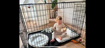 Grote katten bench te koop, zo goed als nieuw beschikbaar voor biedingen
