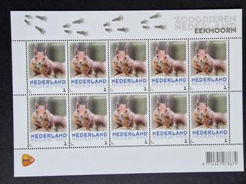 2013 Vel V3013 Eekhoorn. Postfris. beschikbaar voor biedingen