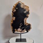 versteend hout op standaard, Ophalen of Verzenden