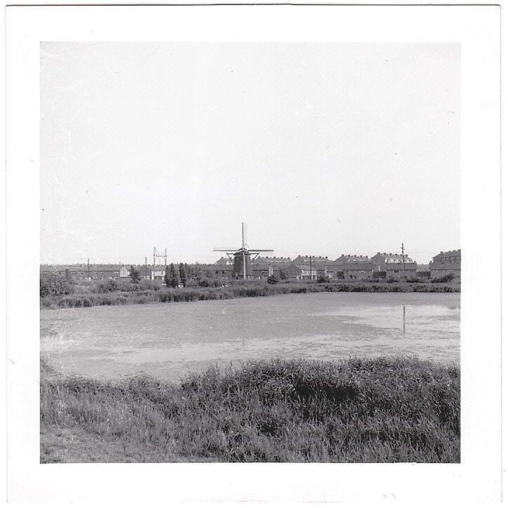 Foto 1958 - Amsterdam of Haarlem - Molen, Verzamelen, Foto's en Prenten, Gebruikt, Foto, Overige onderwerpen, 1940 tot 1960, Ophalen of Verzenden