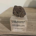 Al Haggounia 001 meteoriet op houten display, Verzamelen, Mineralen en Fossielen, Ophalen of Verzenden, Mineraal