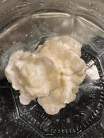 Melk kefir korrels yoghurt plantje biologisch, Diversen, Levensmiddelen, Ophalen