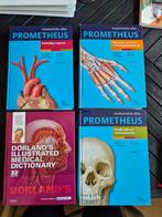 Anatomische Atlassen - Zo Goed Als Nieuw, Boeken, Ophalen of Verzenden, Beta, Zo goed als nieuw, HBO