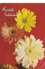 Ansichtkaart 	Bloemen	Chrysanth, Verzamelen, Verzenden, 1980 tot heden, Gelopen, Natuur