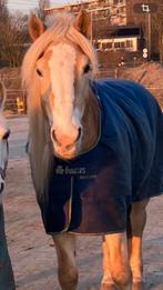 Bucas Smartex 300 gram maat 6.0, Dieren en Toebehoren, Paarden en Pony's | Dekens en Dekjes, Ophalen of Verzenden, Zo goed als nieuw