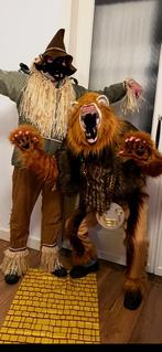 Leeuwenpak zelf aangepast tot een mooi pak, Ophalen of Verzenden, Gedragen