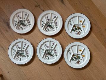 6 Villeroy & Boch Botanica Borden met Vakken beschikbaar voor biedingen