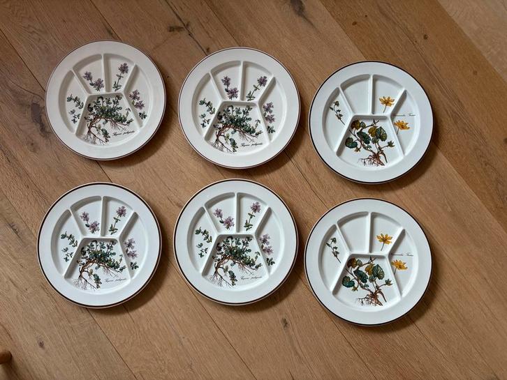 6 Villeroy & Boch Botanica Borden met Vakken, Huis en Inrichting, Keuken | Servies, Gebruikt, Bord(en), Overige stijlen, Aardewerk