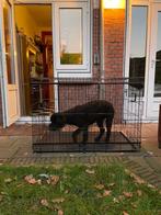 Adori honden bench - 2 Deuren - 91x56x63 cm, Dieren en Toebehoren, Hondenbenches, Ophalen, Gebruikt