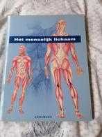 Het Menselijk Lichaam - Anatomie Boek, Ophalen of Verzenden, Zo goed als nieuw, Gezondheid en Conditie, Konemann