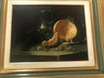 olieverf linnen stilleven j. duval, Antiek en Kunst, Kunst | Schilderijen | Klassiek, Ophalen of Verzenden