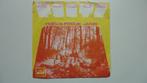 Hocus Pocus -focus, Ophalen of Verzenden, 1960 tot 1980, Gebruikt, 10 inch
