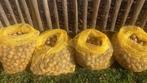 Walnoten 15 kg., Ophalen of Verzenden