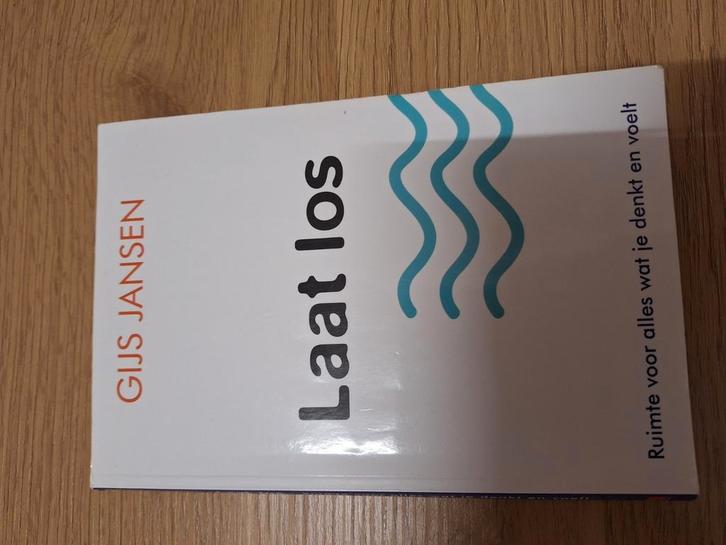 Gijs Jansen - Laat los, Boeken, Psychologie, Zo goed als nieuw, Ophalen of Verzenden