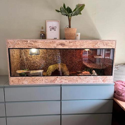 Osb3 terrarium RepHouSZ, Dieren en Toebehoren, Reptielen en Amfibieën | Toebehoren, Nieuw, Terrarium of Paludarium, Ophalen