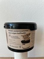 Oesterzwammen growkit, Ophalen of Verzenden, Overige soorten, Minder dan 100 cm