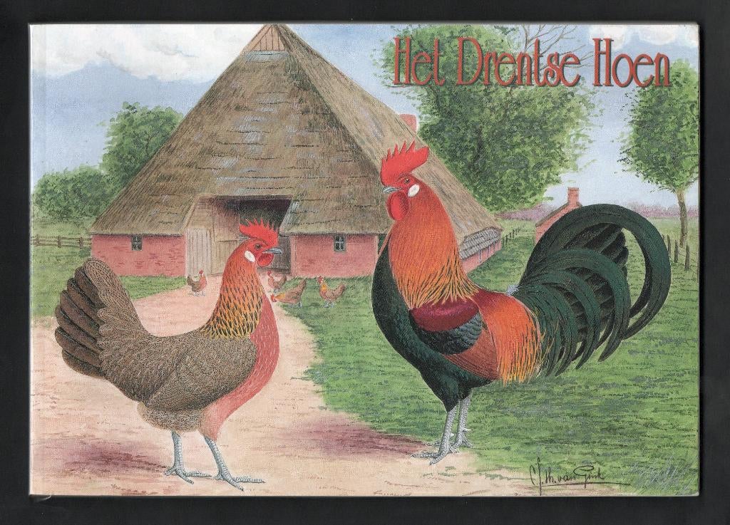 Boek Het Drentse Hoen, Kippen. Van Gink., Verzamelen, Overige Verzamelen, Zo goed als nieuw, Ophalen of Verzenden
