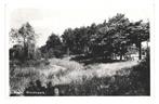 991068 Boxtel N Br 1958 Wandelpark Gelopen met postzegel, Verzamelen, Ansichtkaarten | Nederland, Ophalen of Verzenden, 1940 tot 1960