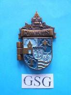 Held van Raveleijn nr. EPP50807-02, Ophalen, Zo goed als nieuw, Button of Speldje