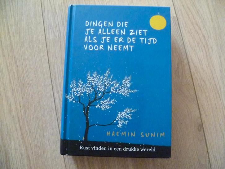 H Sunim Dingen die je alleen ziet als je de tijd voor neemt, Boeken, Esoterie en Spiritualiteit, Zo goed als nieuw, Achtergrond en Informatie