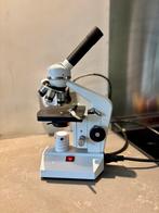 Euromex Biologische Microscoop - Zo goed als nieuw, Ophalen of Verzenden, Zo goed als nieuw, Minder dan 400x, Biologische microscoop
