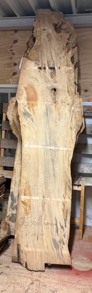Kastanje Schaaldelen, Doe-het-zelf en Verbouw, Hout en Planken, Zo goed als nieuw, Plank, Overige houtsoorten, Minder dan 200 cm