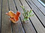 2 kleine plant-ornamentjes !!, Dieren en Toebehoren, Vissen | Aquaria en Toebehoren, Ophalen of Verzenden, Gebruikt, Plant(en), Steen of Hout
