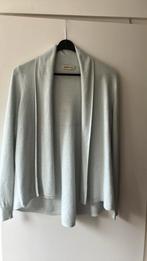 Repeat. Lichtblauw wollen /zijde vest. Maat 36, Kleding | Dames, Repeat, Blauw, Ophalen of Verzenden, Zo goed als nieuw