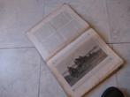 Timotheus   GeIllustreerd  Weekblad 1917-1918, Boeken, Tijdschriften en Kranten, Ophalen of Verzenden, Gelezen, Overige typen