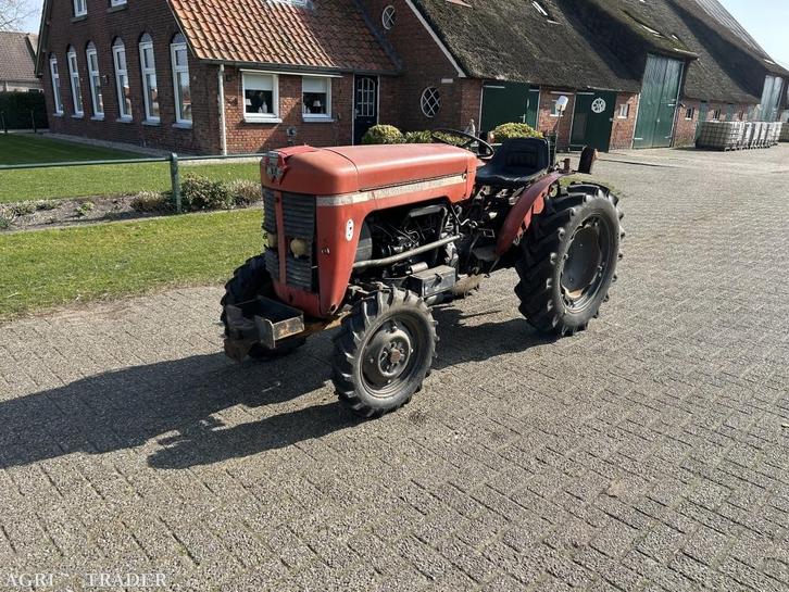 Massey Ferguson 30 smalspoor, Zakelijke goederen, Agrarisch | Tractoren, Massey Ferguson, tot 80 Pk, Gebruikt, Ophalen of Verzenden