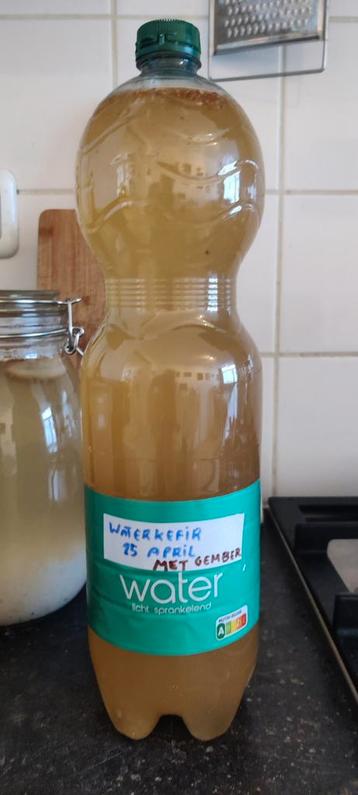 waterkefir beschikbaar voor biedingen