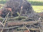 Brand hout, Minder dan 3 m³, Ophalen of Verzenden, Overige houtsoorten
