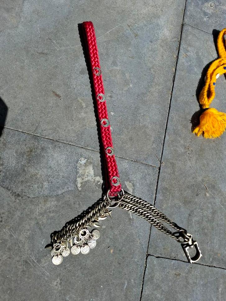 Uniek Arabisch showhalster, Dieren en Toebehoren, Paarden en Pony's | Hoofdstellen en Tuigage, Overige soorten, Ophalen of Verzenden