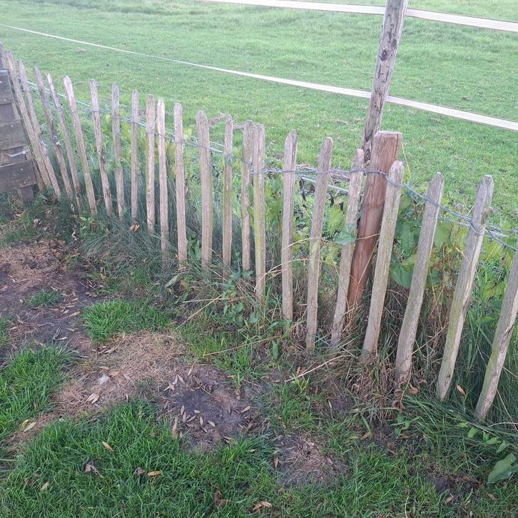 Schapenhek kastanje, Tuin en Terras, Tuinhekken en Hekwerk, Gebruikt, Tuinhek, Hout, Ophalen