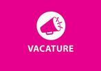 Help me aan een baan!, Vacatures, Overige vormen