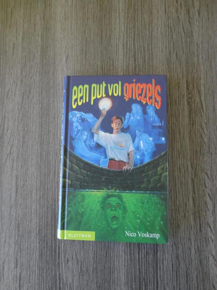 Een put vol griezels - Nico Voskamp, Boeken, Kinderboeken | Jeugd | 10 tot 12 jaar, Nieuw, Ophalen