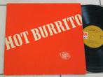 LP The Flying Burrito Brothers - Hot burrito, Verzenden, 2000 tot heden, Gebruikt, 12 inch