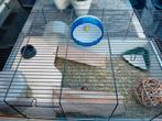 Hamster kooi, Dieren en Toebehoren, Kooi, Gebruikt, Hamster, 75 tot 110 cm