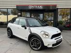 Mini Mini Countryman 1.6 Cooper S ALL4 Chili|Pano|Harman/Kar, 1355 kg, Euro 5, 15 km/l, Wit
